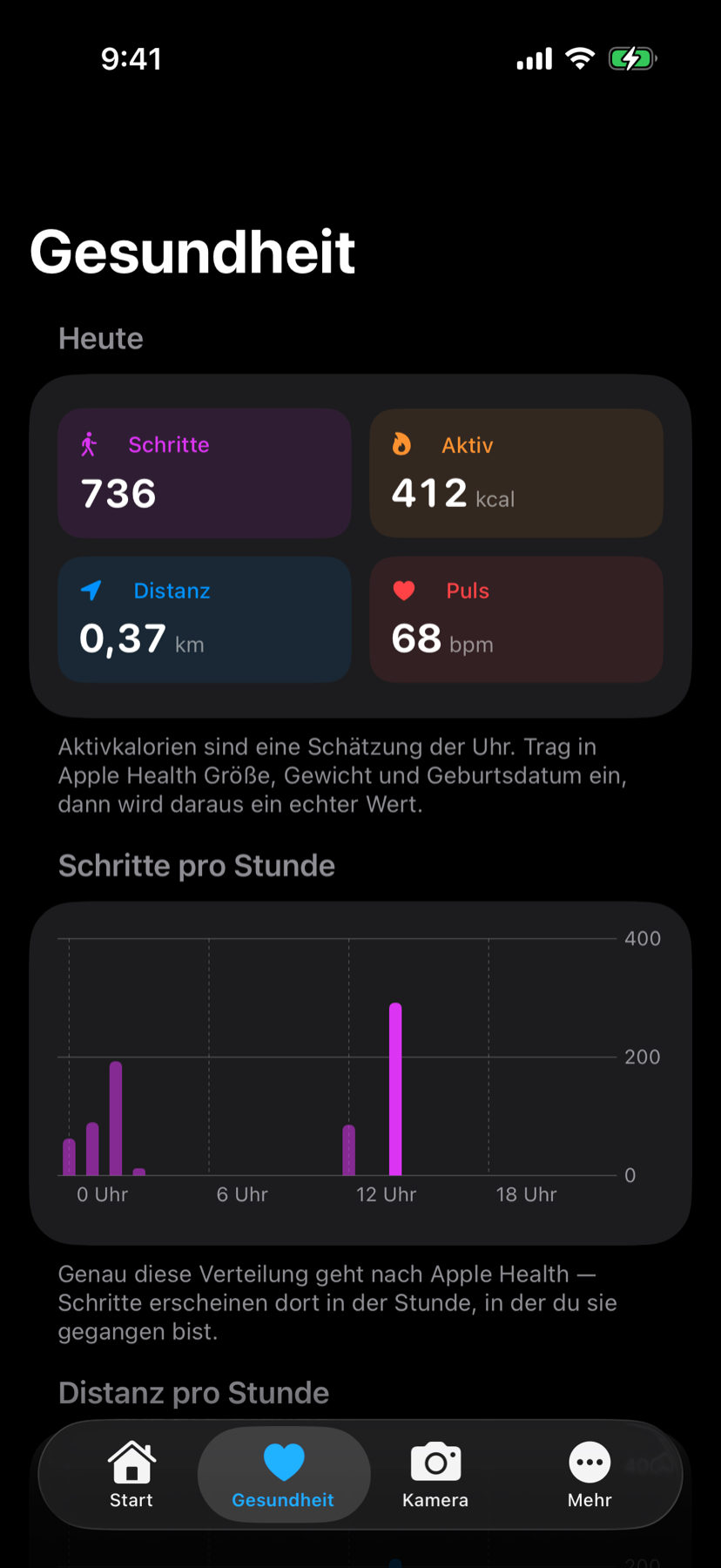 Gesundheitsseite der App mit Tageswerten und Stundendiagramm
