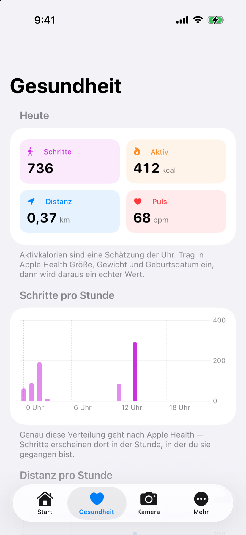 Gesundheitsseite mit Tageswerten und Stundendiagrammen